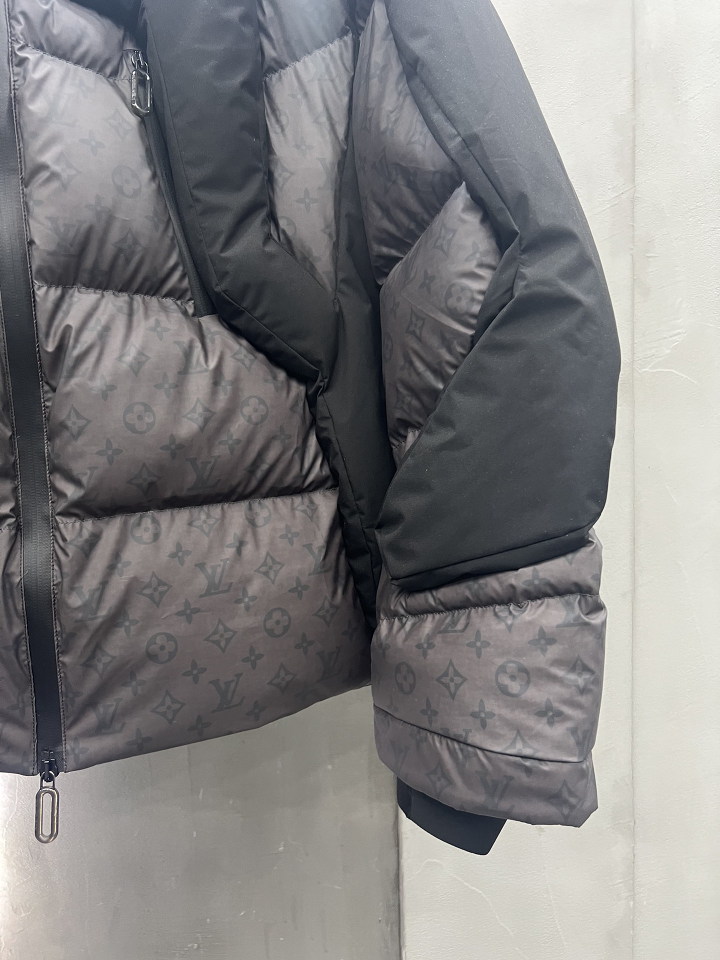 Louis Vuitton Down Jackets